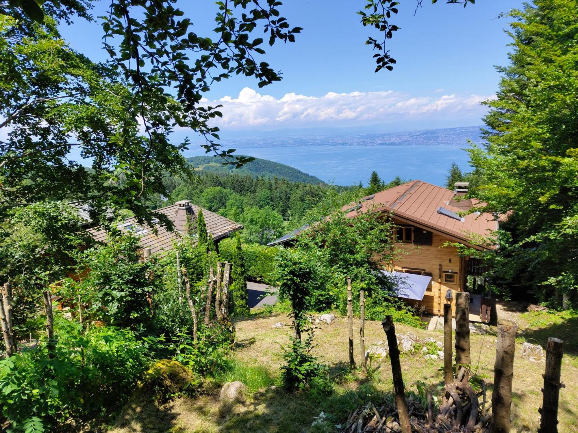 Chalet La Trouvaille Thollon-les-Memises Exterior photo